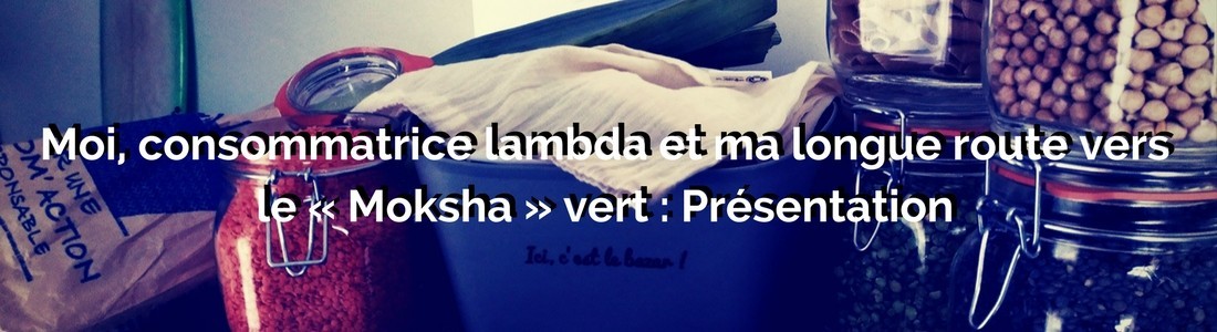 Moi, consommatrice lambda et ma longue route vers le « Moksha » vert - Présentation