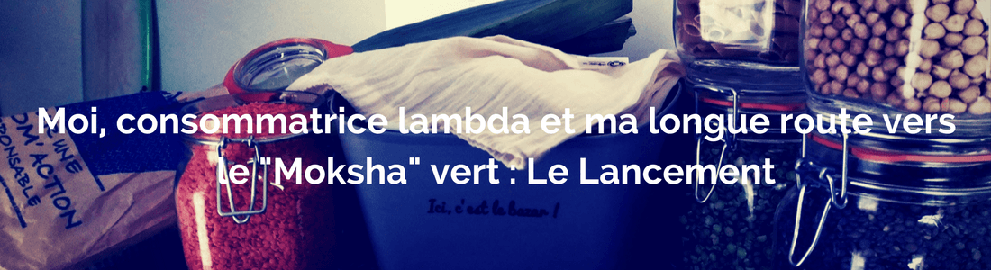 Moi, consommatrice lambda et ma longue route vers le « Moksha » vert - Le lancement